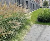 Greenery next to a residential building in Gdańsk, design: Joanna Paniec