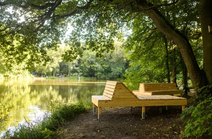 Dendrotherapy benches on Oak Ponds, Oak Meadows, Oak Pond