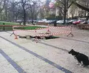 fountain on Axentowicz Square in Cracow