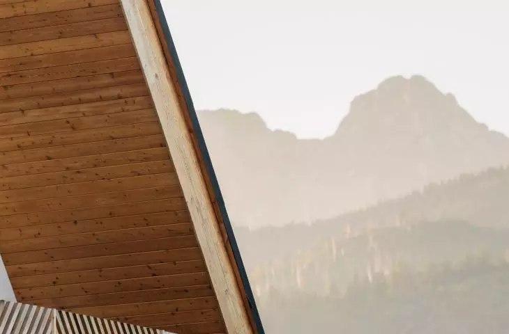 Enclave of Glades in Koscielsk, roof detail