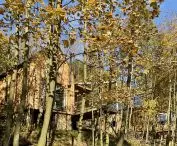 The forested setting allowed the houses to be tucked away on the hillside