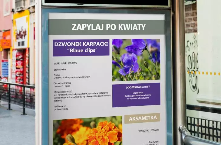 Koncepcja zakłada także aspekt edukacyjny — plakaty w mieście
