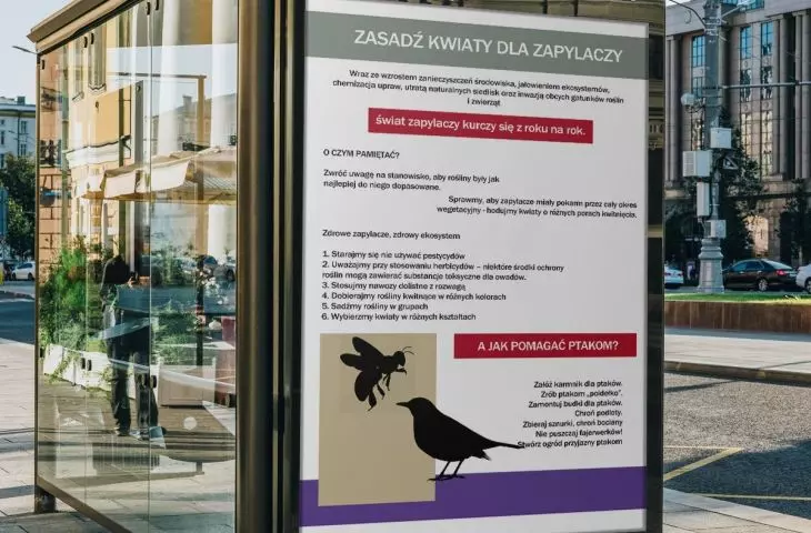 Projekt plakatów edukacyjnych w mieście