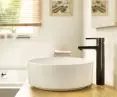 Fineceramic® ceramics in washbasins  
