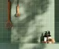 Neve Creative Green