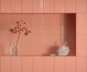 Neve Creative Blush