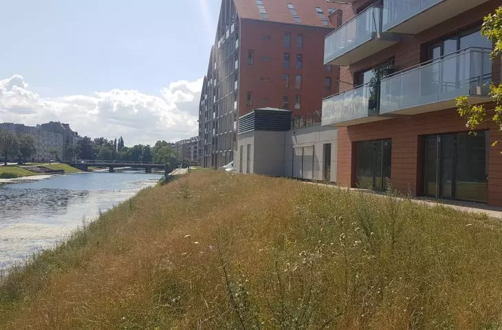 Gdańskie Bookingcom Island, czyli Wyspa Spichrzów