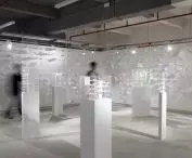 Irregular Development dla Shenzen Biennale