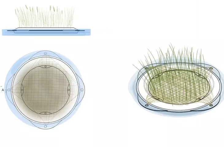 Jute twine protects plants
