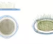 Jute twine protects plants