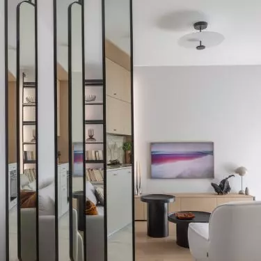 Mirror panels