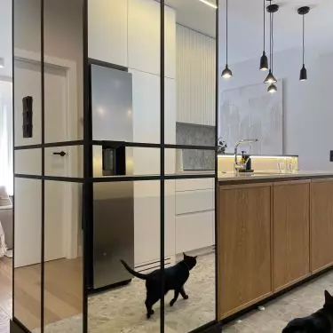 Mirror-covered shack