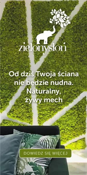 Naturalny żywy mech. Od dziś Twoja ściana nie będzie nudna