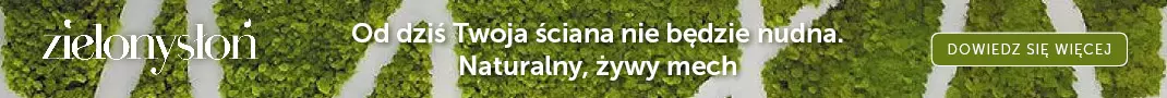 Naturalny żywy mech. Od dziś Twoja ściana nie będzie nudna
