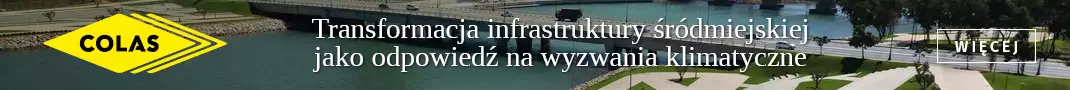 Transformacja infrastruktury śródmiejskiej jako odpowiedź na wyzwania klimatyczne