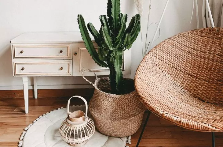 In recent years, we often use earthy colors Photo: Alyssa Strohmann © UNSPLASH