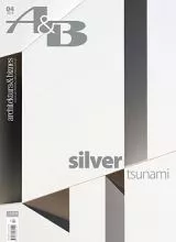 Silver Tsunami