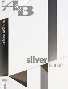 Silver Tsunami