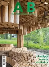 About the condition of the architectural profession