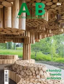 About the condition of the architectural profession
